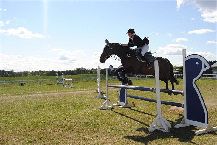 Anden særlig race Bastian *Stjernen*:-) - LIND 1 afd. af ShCup Maxi 2011 D. 1/5-11 billede 17