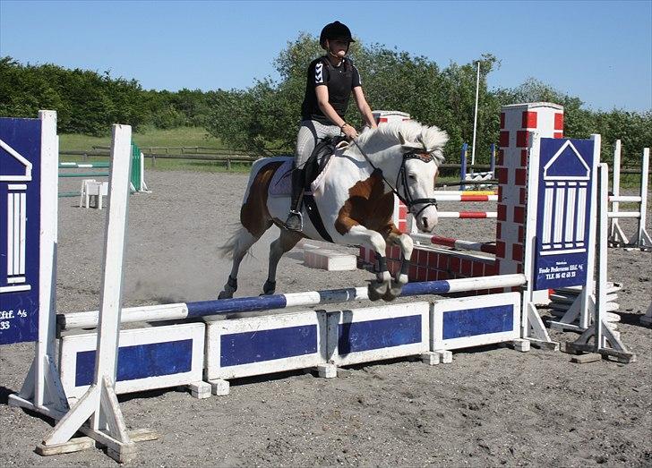 Pinto Flicka - Springundervisning den 1. Juli :-) billede 14