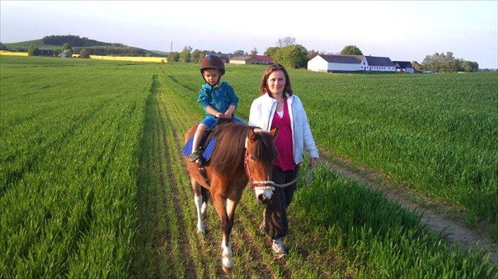 Anden særlig race Honey - Valdemar på tur "jorden rundt" billede 8