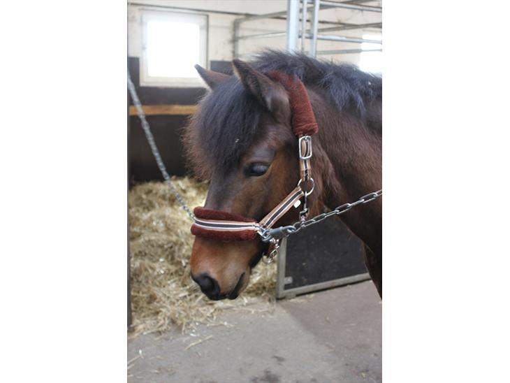 {{currentPhoto.altText}} billede {{currentPhoto.number}}