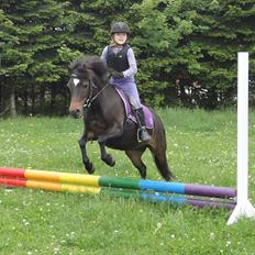 Anden særlig race My La Belle