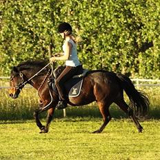 Anden særlig race Pretty - Hvil i fred!