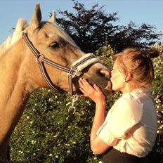 Anden særlig race WILD SECRET. BLINKENDE STJERNE