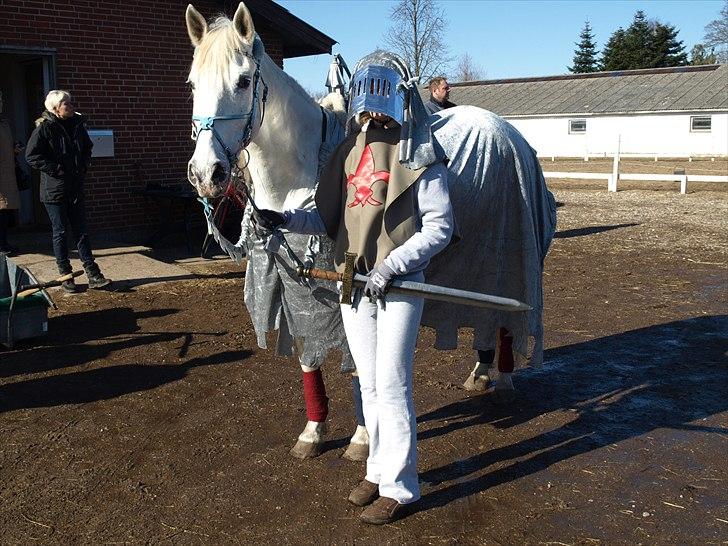 Anden særlig race Serina-Plet - Plet i fastelavn mode ;) Rider tøserne:P billede 20