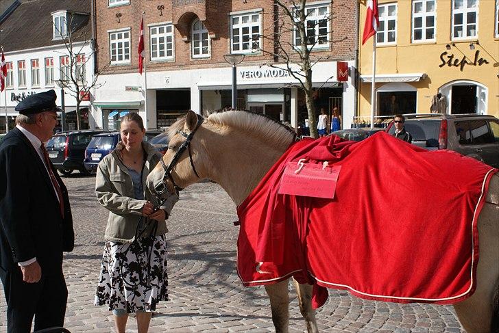 Fjordhest Karla - Der Står min konfirmationsgave!!! :):)<3 billede 5