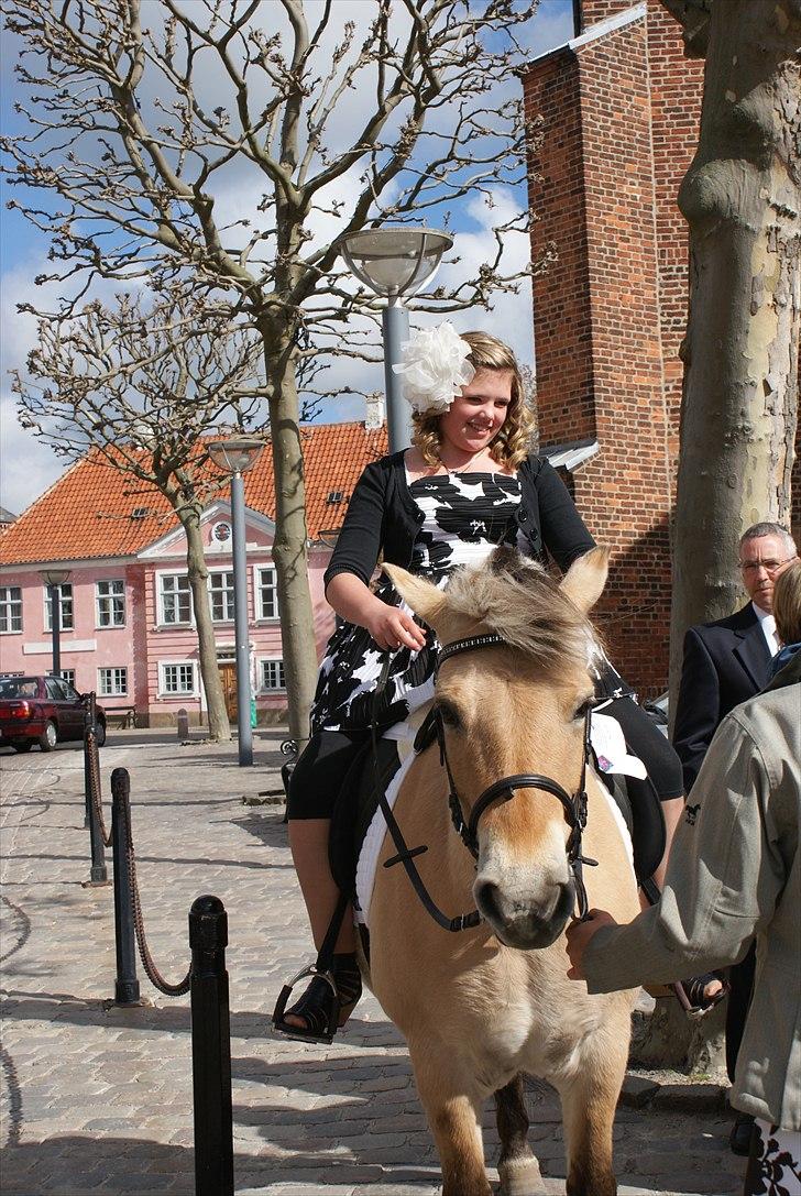 Fjordhest Karla - Ude foran kirken :)<3 billede 3