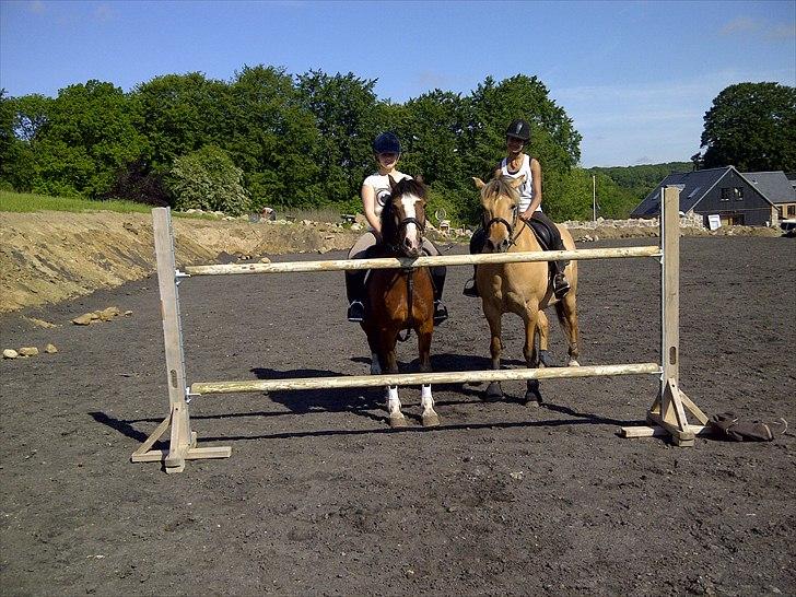 Welsh Cob (sec D) | Rytterbjergets Nico - Lukas  - d. 2 juni - en dejlig sommerdag!:-D. billede 15