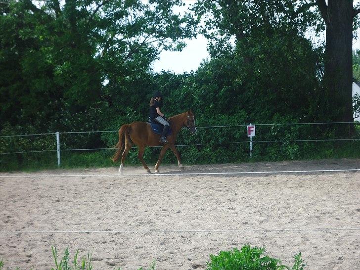 Anden særlig race Bella - Fint nok syntes jeg<3 billede 13