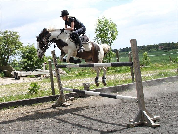 Anden særlig race Rain Solei - B-pony - DU ER FOR SEJ!<3
d. 2.6.2011
du sprang bare, troede ikke selv på det.. MEN det gjorde du selvfølgelig <3
(120-125 ca.) billede 3