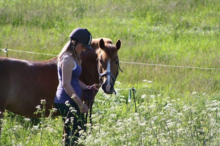New Forest Wendy<3 (savnes  :'-( ) - Engang var du smilet på mine læber, nu er du tårerne på min kind...♥
 billede 15