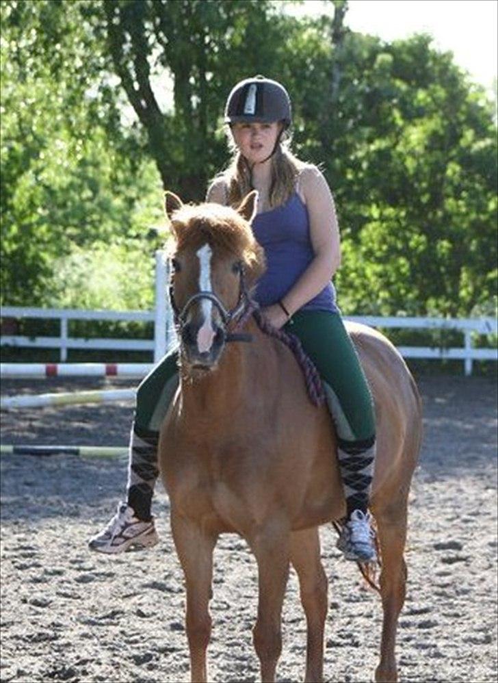 New Forest Wendy<3 (savnes  :'-( ) - der findes ikke én der er perfekt, men vi to er perfekte sammen.<3
 billede 6