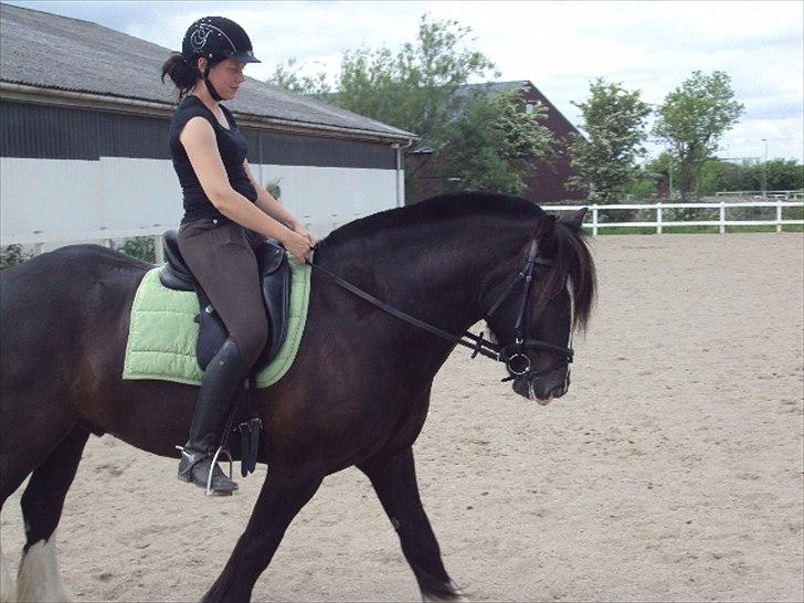 Tinker Albert  billede 14