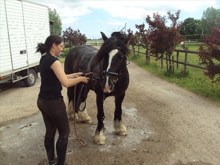 Tinker Albert  billede 15