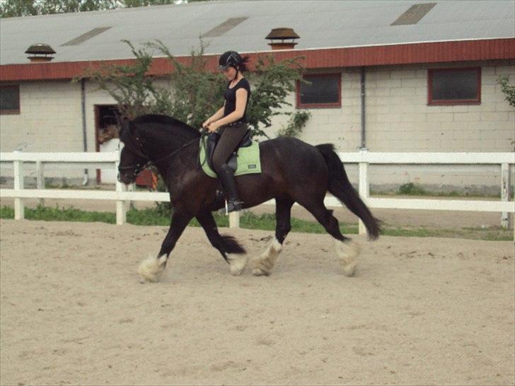 Tinker Albert  billede 16