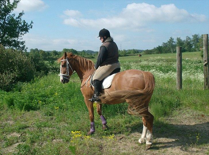 Frederiksborg Locky Classic - taget og indsat den 2 juni 2011 billede 14