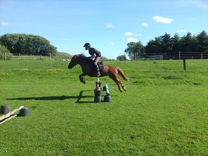 Anden særlig race Magic Mio! Altid gemt i hjertet. <3 - SPRING MIO SPRING SPRING!<3. billede 15