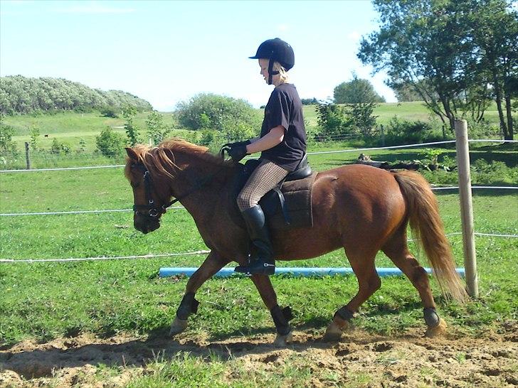 Anden særlig race Magic Mio! Altid gemt i hjertet. <3 - Mio jeg ELSKER dig!!!!!!!!!!!<3. tak fordi i gluggede Mio fil<3. billede 20