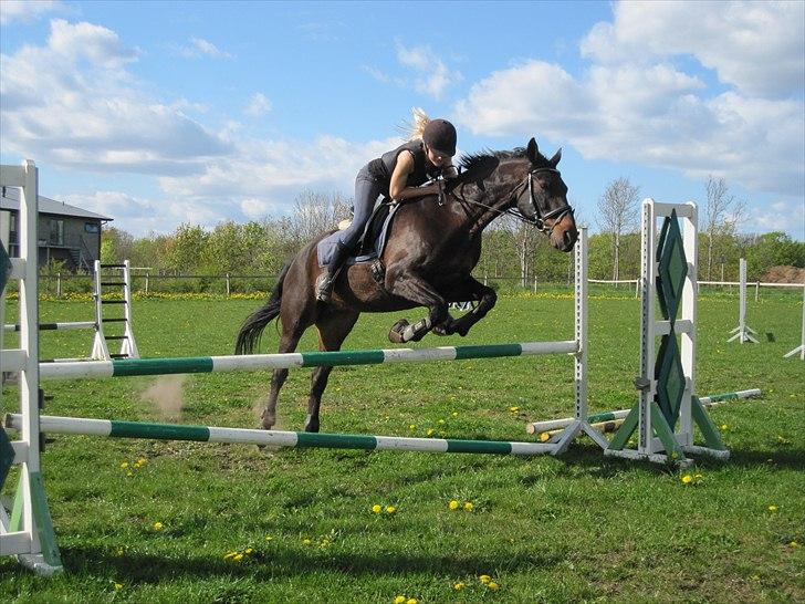 Anden særlig race Conrad <3 billede 7