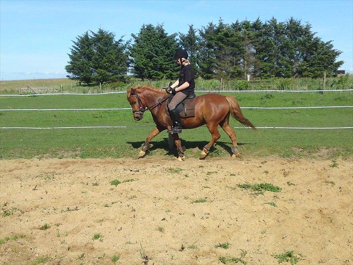 Anden særlig race Magic Mio! Altid gemt i hjertet. <3 - Han er flyvende!:D<3. billede 1