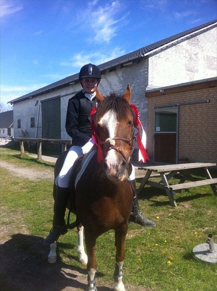 Hollandsk Sportspony Ainoa Van Uniken - Noa vandt lige 2 klasser:-) billede 16