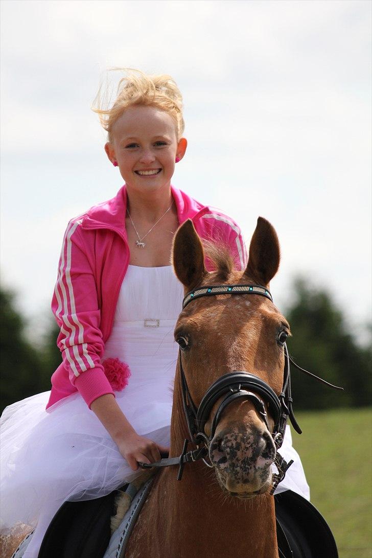 Knabstrupper Skovgårdens Rollo<3 (SOLGT) - Jeg elsker dig over alt på jorden! <3 billede 13