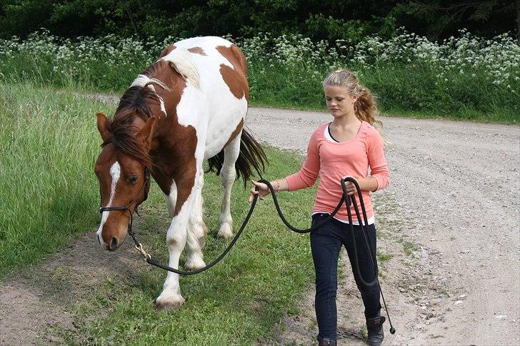 Welsh Partbred (Sec F) Blanding Alasho |My One| )´: - 13) Ingen kan beskrive mit savn til dig skat. Du betyder altfor mig, det kan ikke ændres. Jeg tænker på os nat og dag. Men skæbnen ville os ikke det bedste - at vi ville blive sammen forevigt.. <3 billede 13