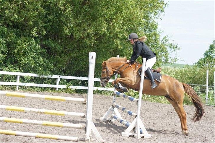New Forest Wendy<3 (savnes  :'-( ) - Jeg følte mig forelsket så jeg kaldte det kærlighed Indtil den dag hvor jeg sagde farvel og kaldte det ærlighed.
 ♥ billede 19