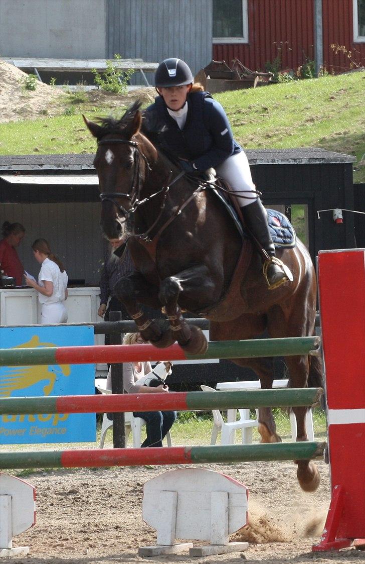 Mecklenburger Dark Shadow - Ballerup 2/6-11 :)  billede 6