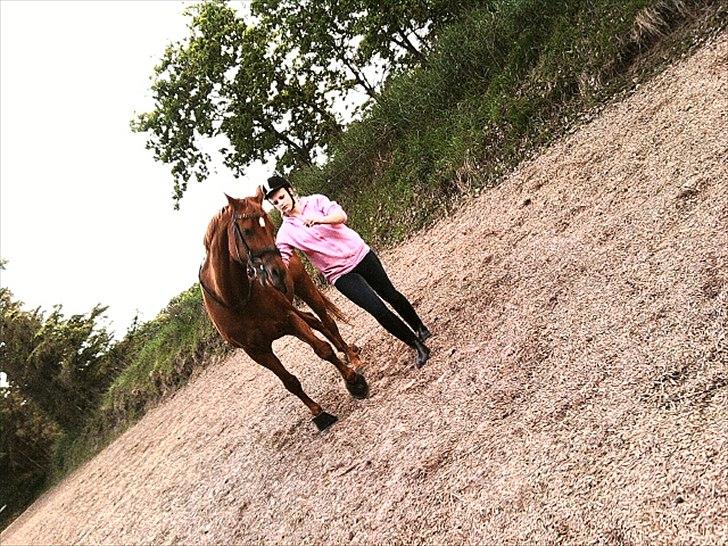 Dansk Varmblod Clarissa-leveret tilbage.. - -Clarissa og mig!<3 billede 2