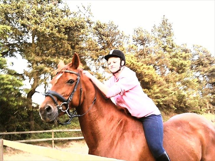 Dansk Varmblod Clarissa-leveret tilbage.. - mig der leger med hendes ører:-*<33 billede 10