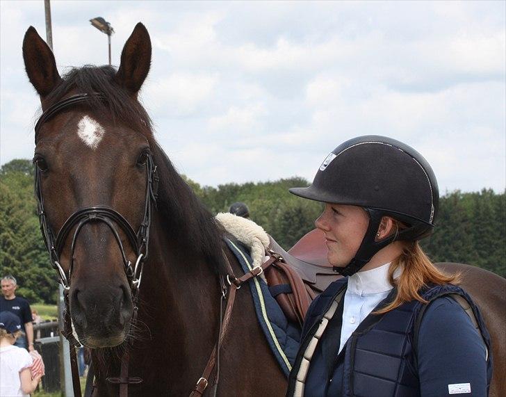 Mecklenburger Dark Shadow - Søde skygge på Ballerup :) billede 3
