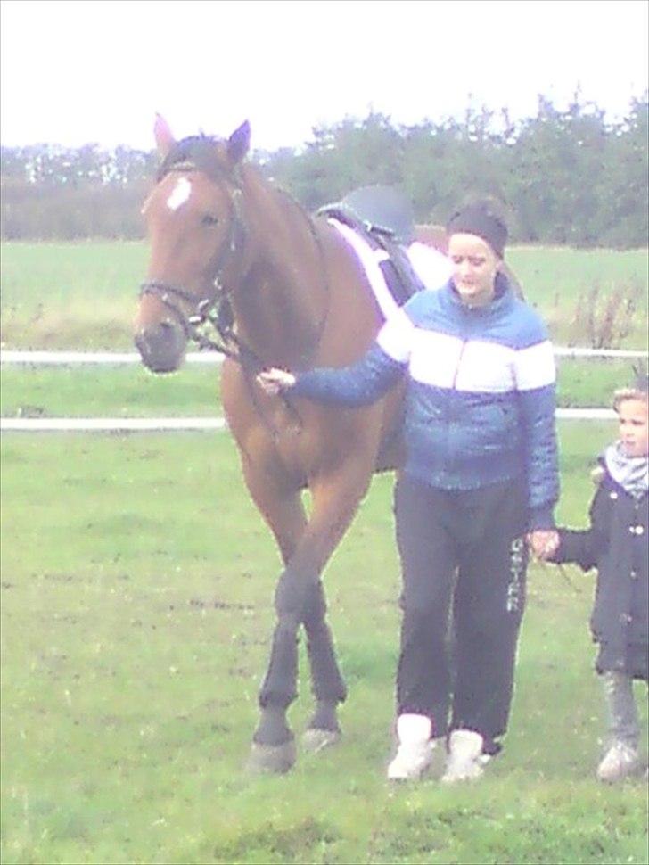 Traver Notice  - (Solgt) billede 8