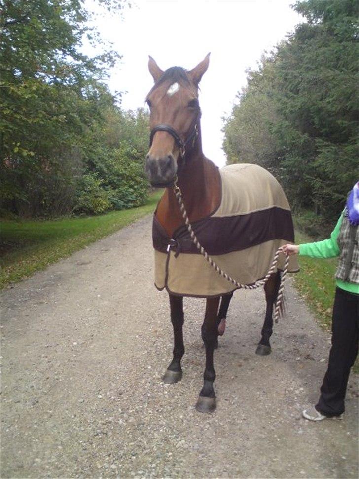 Traver Notice  - (Solgt) billede 9