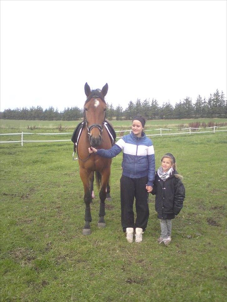 Traver Notice  - (Solgt) billede 10