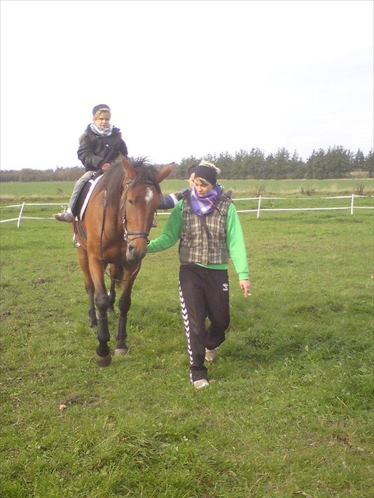 Traver Notice  - (Solgt) billede 12