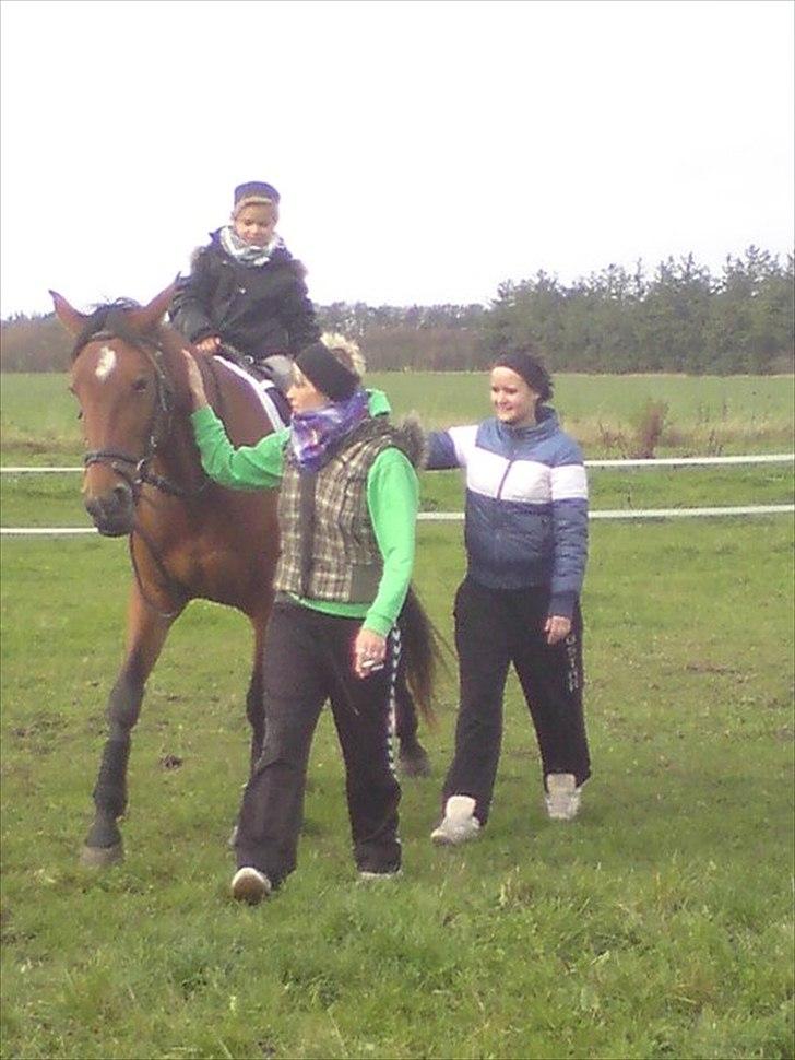 Traver Notice  - (Solgt) billede 13