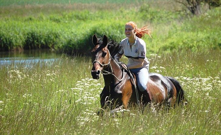 Traver Miss Williams † - Sidste dag med Miss :') Hvor kommer jeg bare til at savne dig, min enormt fantastiske pige! <3 Foto: Stephanie Carlsen billede 1