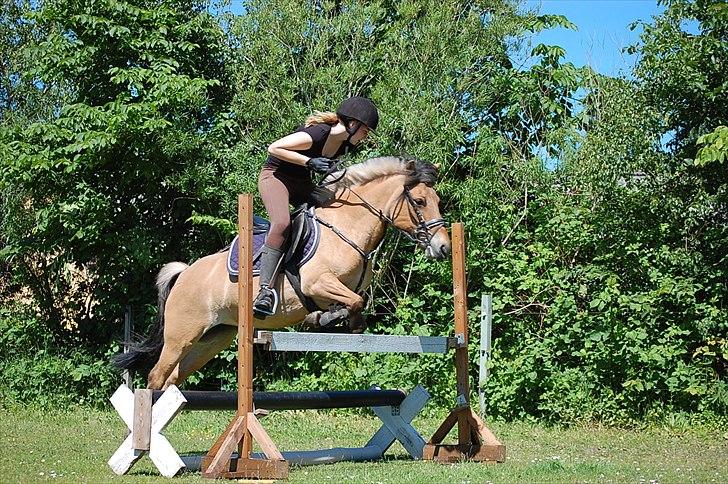 Anden særlig race Lazy - Foto:Ditte Andersen billede 5