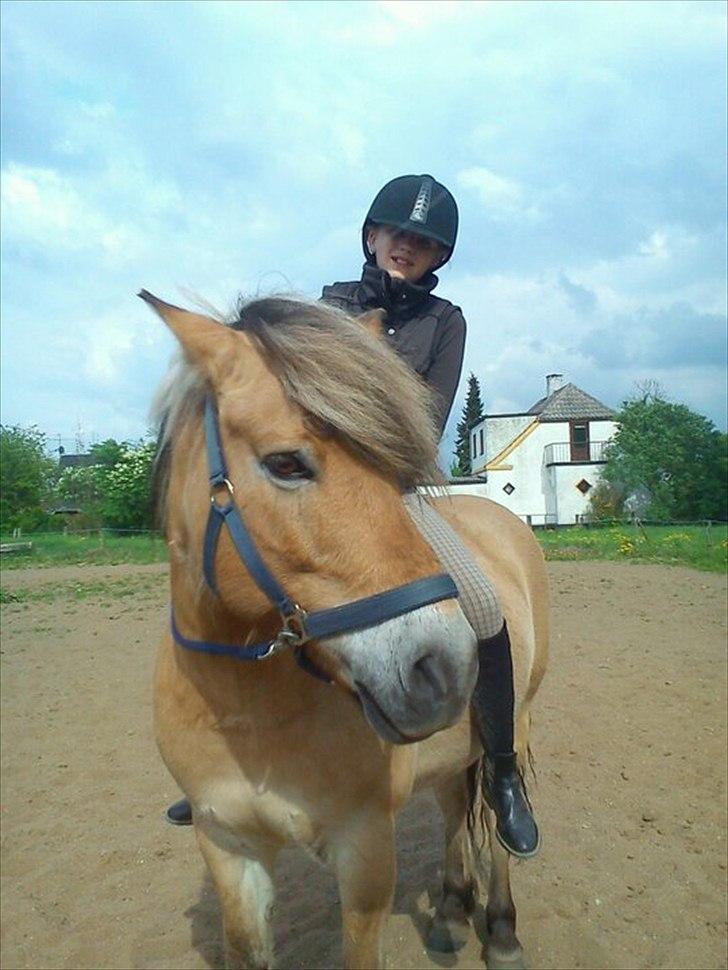 Anden særlig race Nobel <3 SOLGT! - sidste ride-tur på nobel :'( billede 12