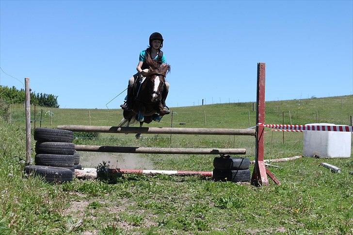 Welsh Pony (sec B) Maccoy, (Udlånt). Ejer: Annika Rosenqvist - En lille okser på 70 cm og nøj han syns det er sjovt :) billede 19