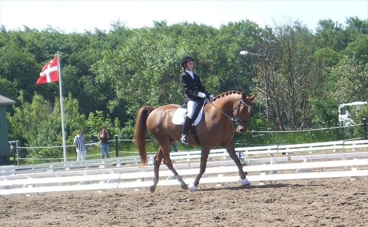 Anden særlig race Thor - Stævne i Ribe LB2. billede 12