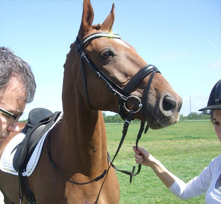 Anden særlig race Thor - Jeg ved da godt selv at jeg er lidt lækker :o). billede 13