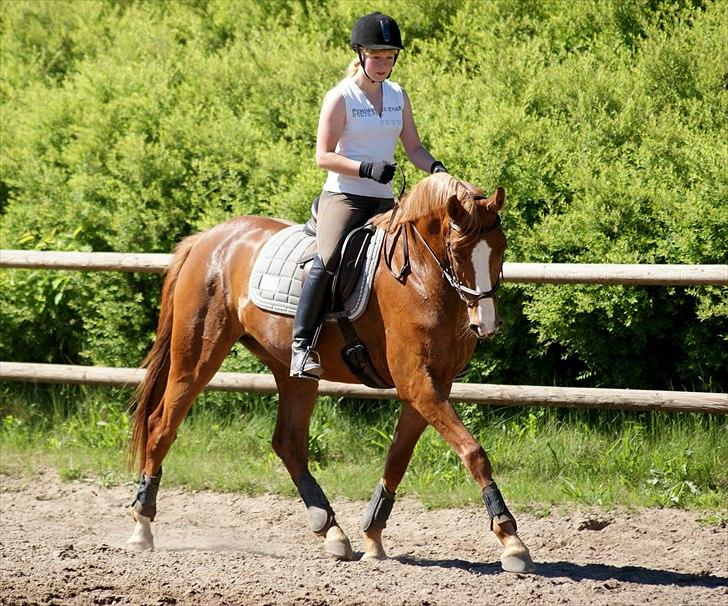 Anden særlig race Londres - 3/6-11 3. gang jeg rider hende. Foto: Katrine Andreassen billede 6