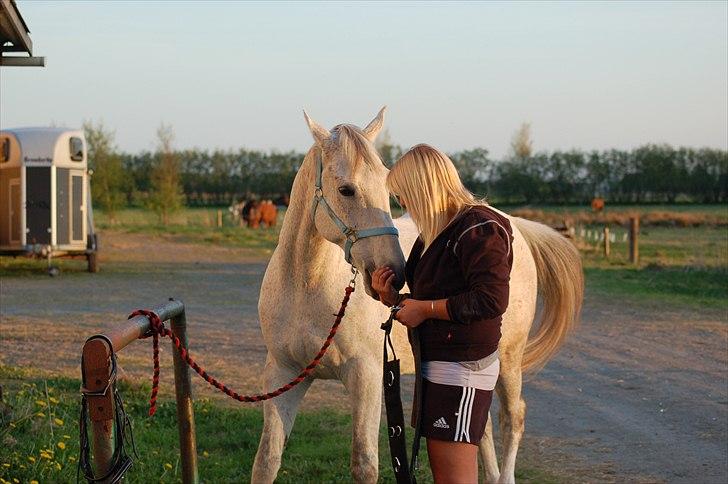 Anden særlig race Prins - <3 billede 10