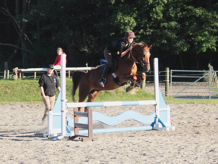 Anden særlig race Piccolo  - Elsker det her spring billede (': vi flyver bare over springet! <3 [Foto: Cecilie Buus Bromose] billede 9