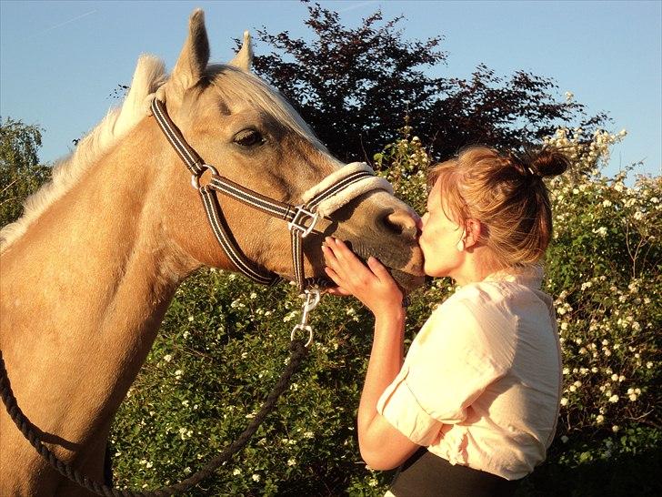 Anden særlig race WILD SECRET. BLINKENDE STJERNE - En ven spurgte mig en dag "hvad er ægte venskab for dig?" , jeg kiggede ham i øjnene og smilede, mit svar var simpelt, "Sigger.." <3 billede 2