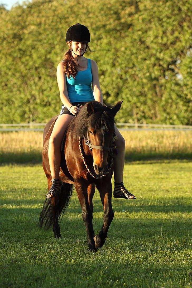 Anden særlig race Pretty - Hvil i fred! billede 2