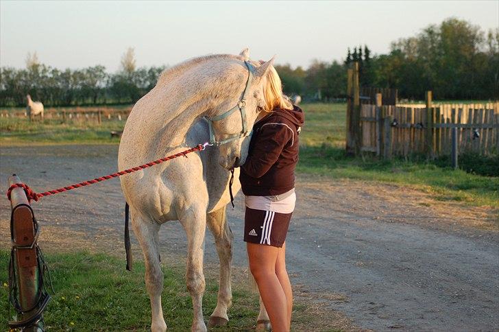 Anden særlig race Prins billede 11