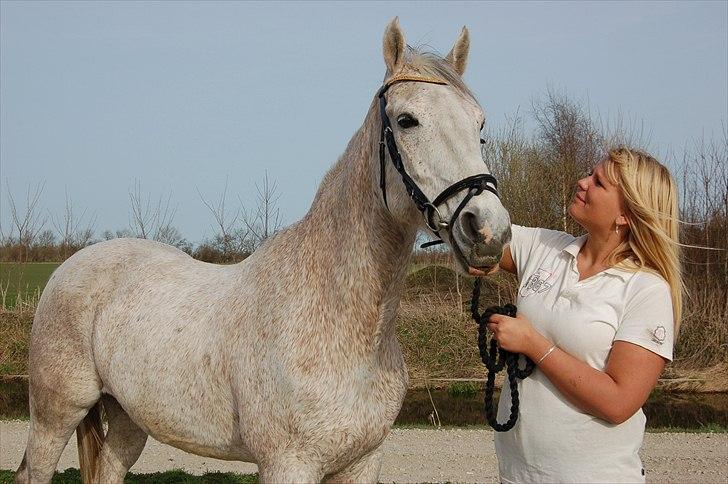 Anden særlig race Prins billede 12