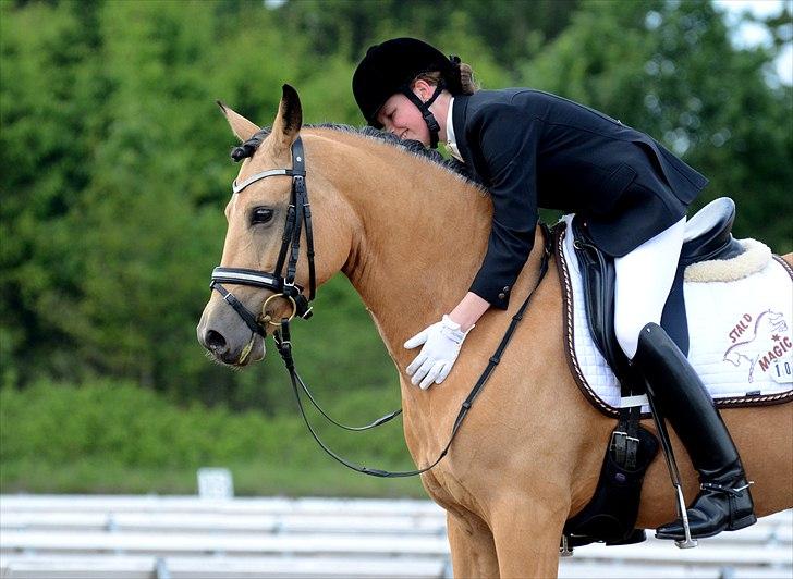 Tysk Sportspony Bodethal's Romy A-pony billede 15